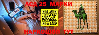 прущие крисы Сланцы