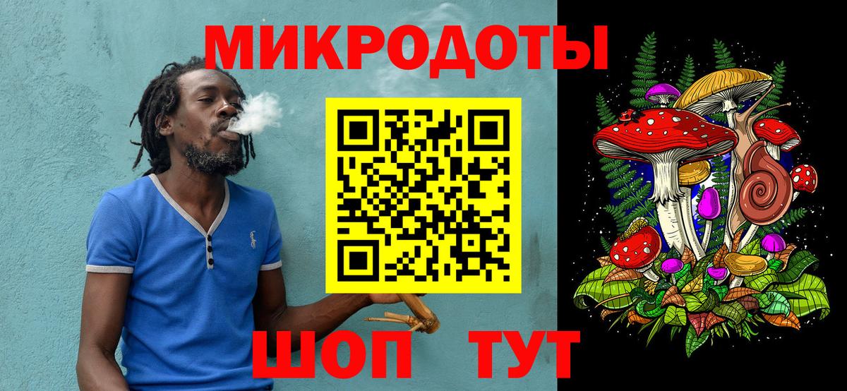 Псилоцибиновые грибы Psilocybe Нурлат